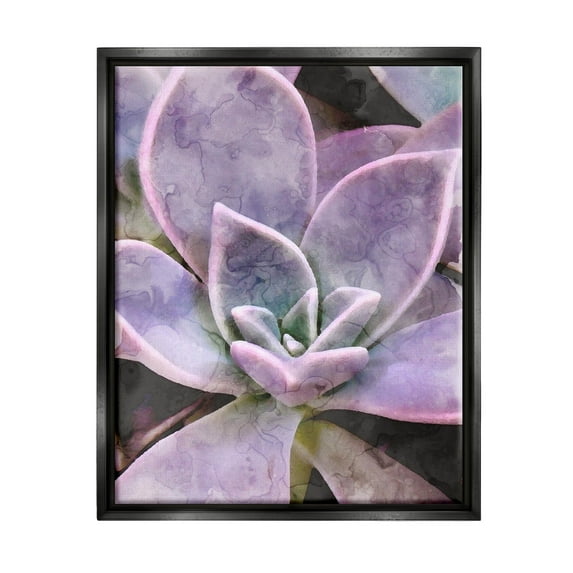 Purple Succulent Close Up Botanical & Floral Graphic Art Jet Black Framed Art Print Wall Art