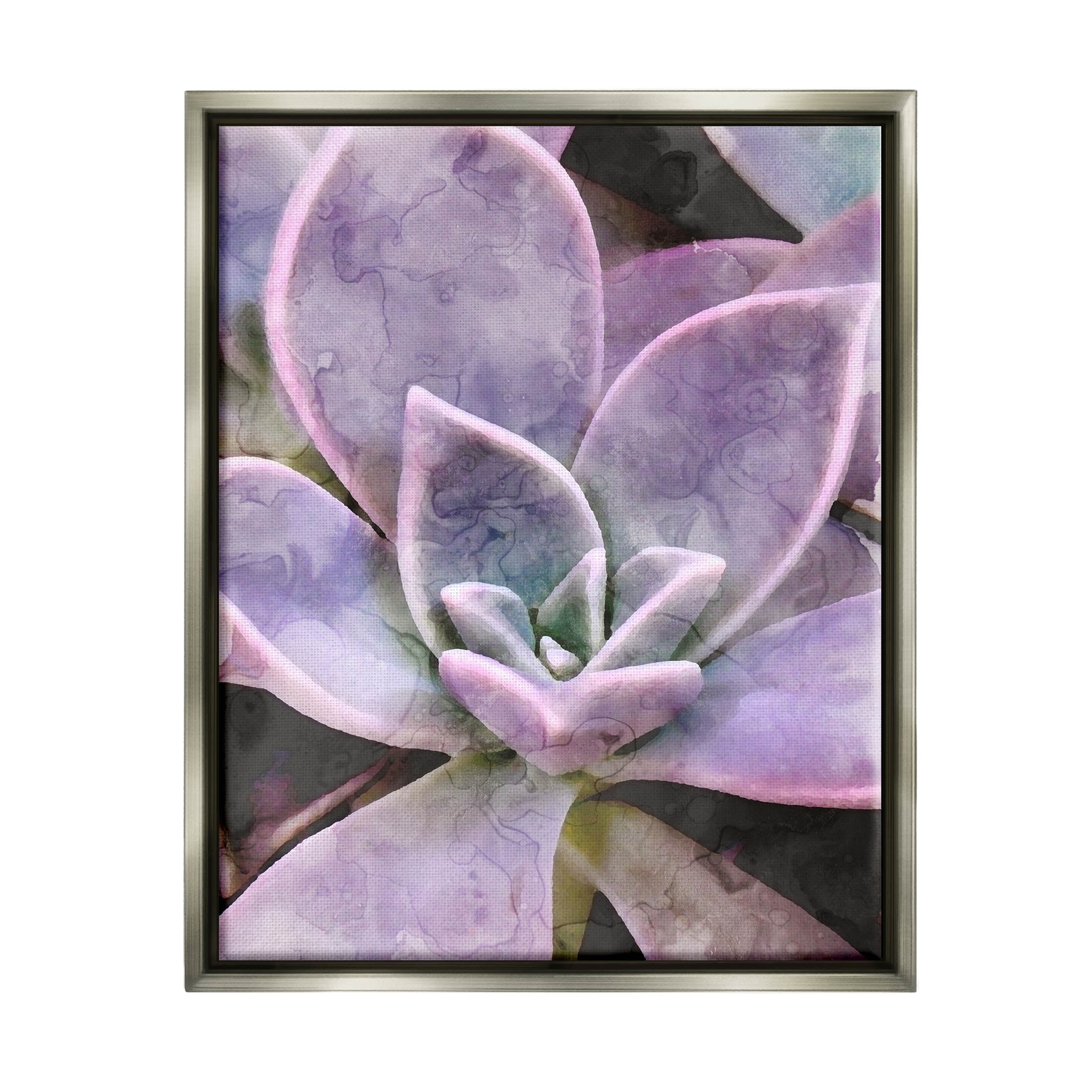 Purple Succulent Close Up Botanical & Floral Graphic Art Luster Gray Framed Art Print Wall Art