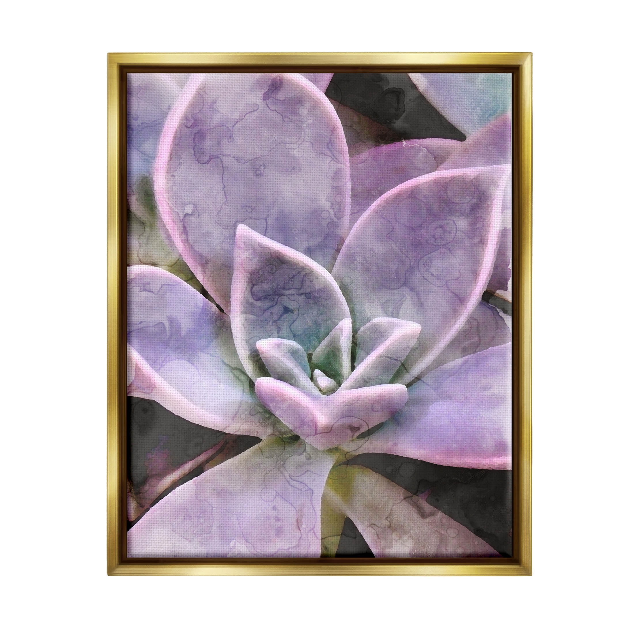 Purple Succulent Close Up Botanical & Floral Graphic Art Metallic Gold Framed Art Print Wall Art