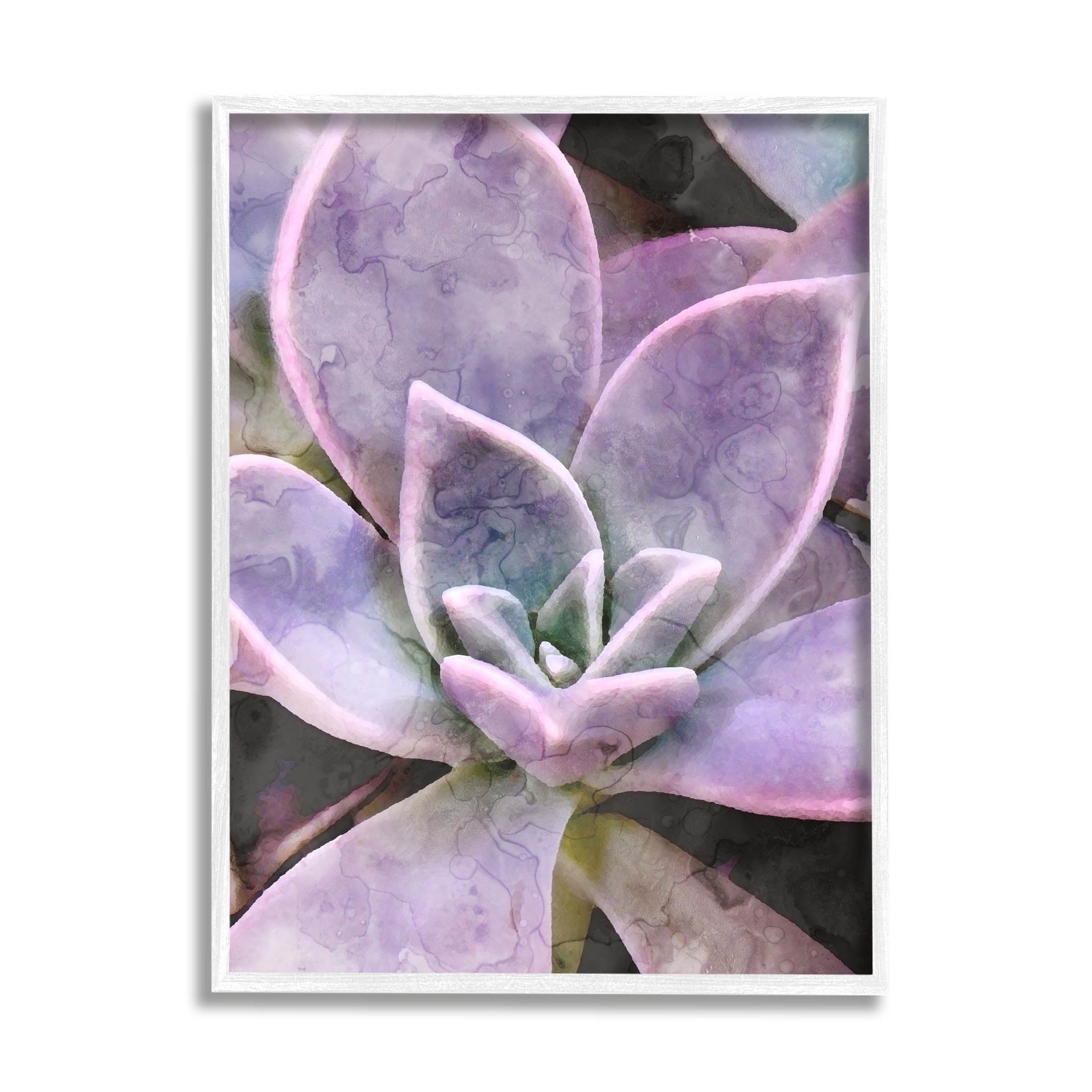Purple Succulent Close Up Botanical & Floral Graphic Art White Framed Art Print Wall Art