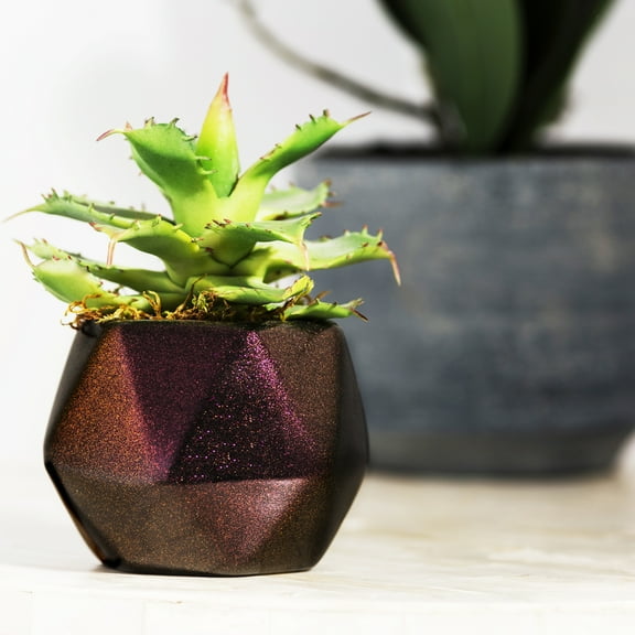 4 Pack, Purple Sunrise, Rust-Oleum Craft & Hobby Gloss Imagine Colorshift Spray Paint- 353337, 11 oz.