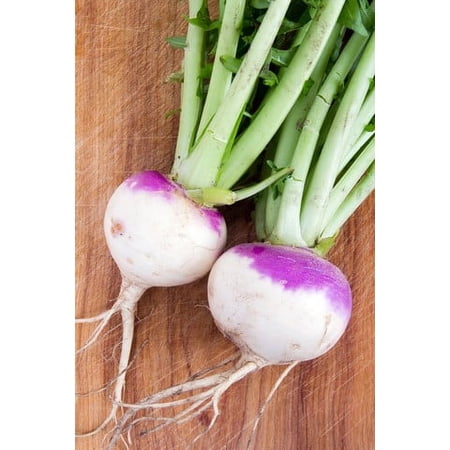 Purple Top Turnip Deer Food Plot Seeds Food Plot Non-GMO Vegetable Garden Micro Greens Seeds Whitetail Deer Green Goose 5 Lbs