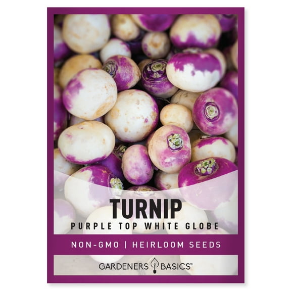 Purple Top White Globe Turnip Seeds