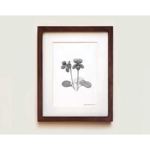Purple Violet Flower Poster Graphite Drawing Oak Home Decor Office Wall ...