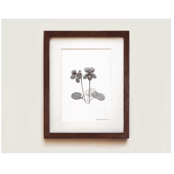 Purple Violet Flower Poster Graphite Drawing Oak Home Decor Office Wall Art