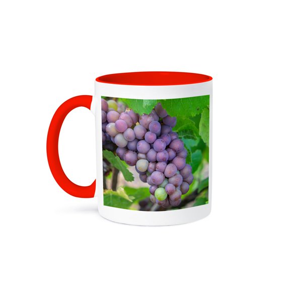 Purple Wine Grapes On Vine, New York, Usa, 15oz Two-Tone Red Mug
