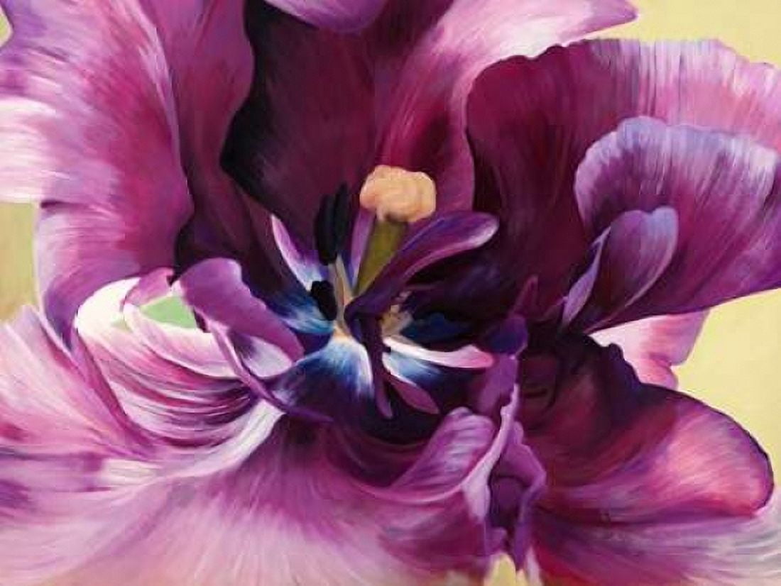 Purple tulip close-up Canvas Art - Luca Villa (22 x 28)