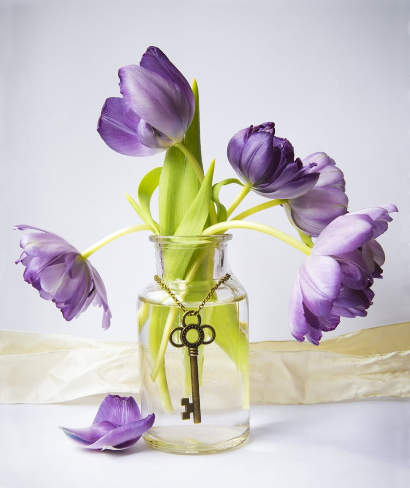 Purple tulips in a vase with an antique key hanging gracefully around the vase Chilliwack British Columbia Canada Canvas Art - Lorna Rande Design Pics (28 x 32)