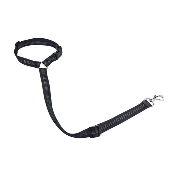 Purpose Pet Leash for Vehicle Travel and with Secure Rear Seat Tether