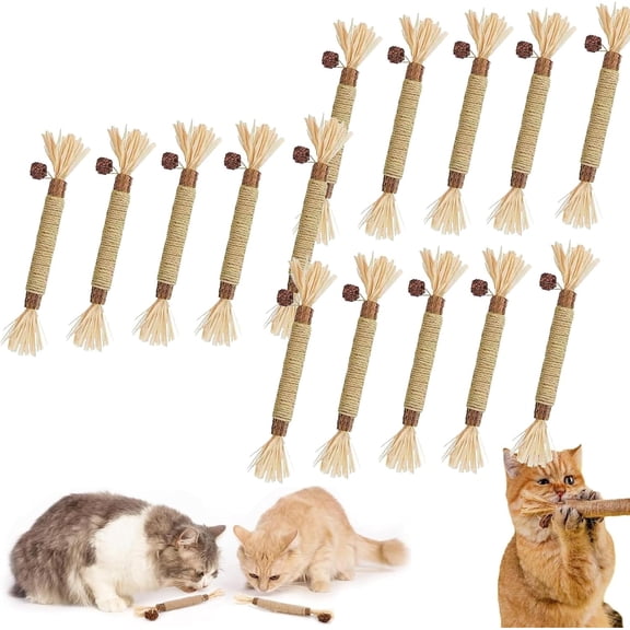 Natural Silvervine Dental Sticks for Cats - Promotes Dental Health & Reduces Plaque, Natural Chew Stick Toy for Indoor Kittens & Adult Cats