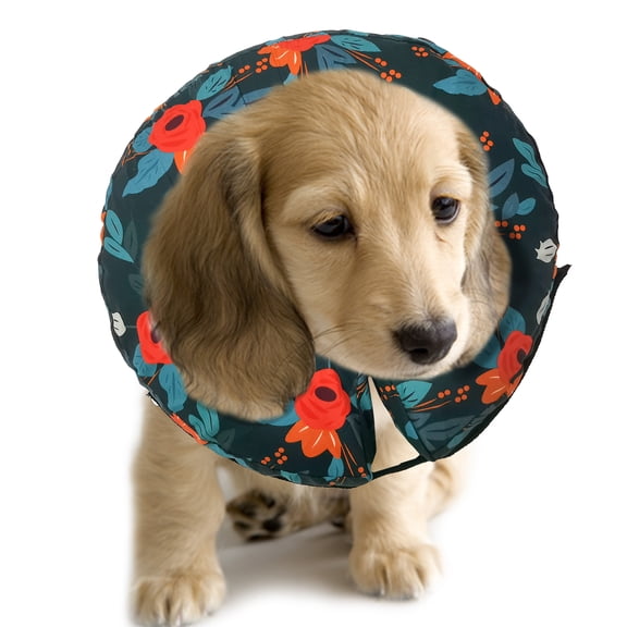 Purrrfect Life Protective Inflatable Collar for Dogs and Cats - Soft Pet Recovery Collar Does Not Block Vision, Prevents Pets from Touching Stitches, Wounds and Rashes