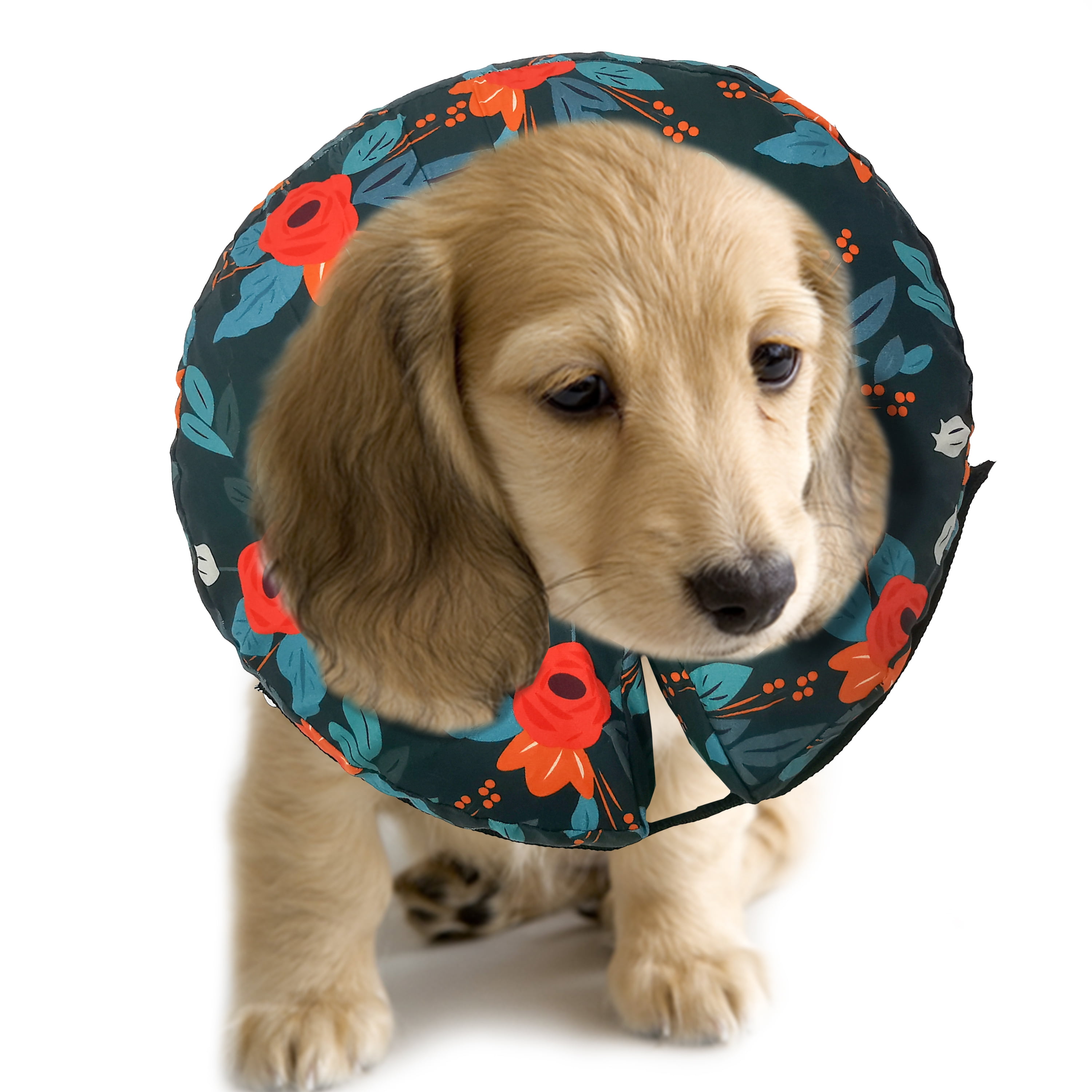 Purrrfect Life Protective Inflatable Collar for Dogs and Cats Soft
