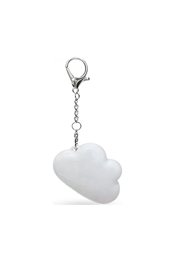 Purse Light, LED Automatic Sensor Purse Lamp, Rechargeable Wallet Accessories Touch Activation for Women Girls Friends (Cloud)