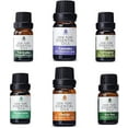thumbnail image 1 of 6 Pack of 100% Pure Essential Aromatherapy Oils, 1 of 5