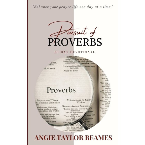 Pursuit of Proverbs: 31 Day Devotional (Paperback)