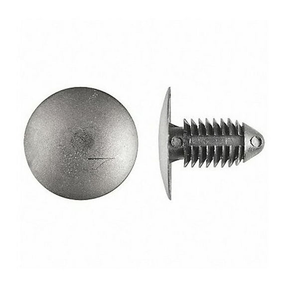 Push-In Rivet, Dome Head, 0.375 in Dia., 27/32 in L, Nylon Body, 25 PK