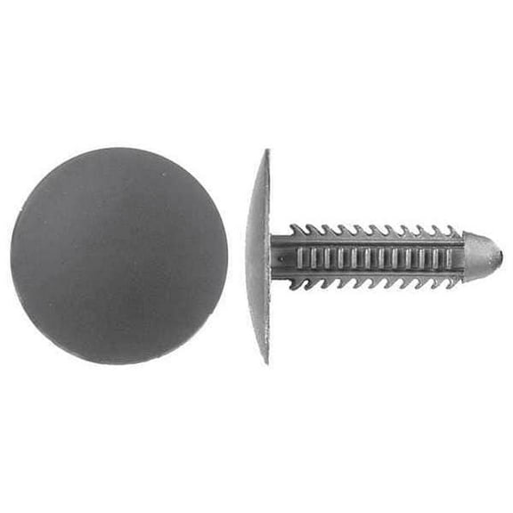 Push-In Rivet, Dome Head, 1/4 in Dia., 1-1/16 in L, Nylon Body, 25 PK