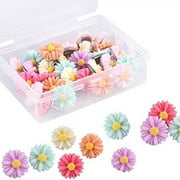 Push Pins for Cork Board - 30Pcs Decorative Push Pins with Case, Cute Thumb Tacks and Push Pins for Bulletin Board, Flower Pushpins, Office Decor for Women, Cubicle Desk Accessories