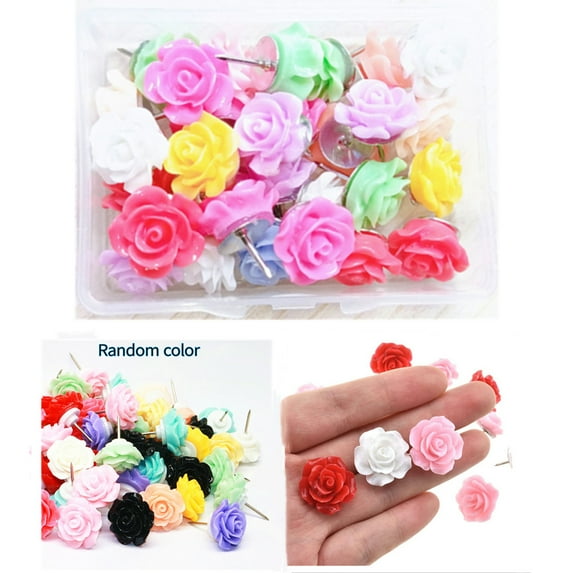 Push Pins for Cork Board - 30Pcs Decorative Push Pins with Case, Cute Thumb Tacks and Push Pins for Bulletin Board, 6 Colors Flower Pushpins, Office Decor for Women, Cubicle Desk Accessories