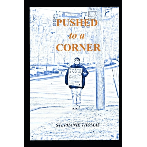 Pushed to a Corner: Women Who Panhandle, (Paperback)