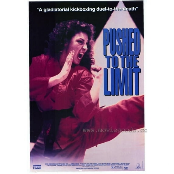 Pushed to the Limit Movie Poster Print (27 x 40) - Item # MOVAH8647