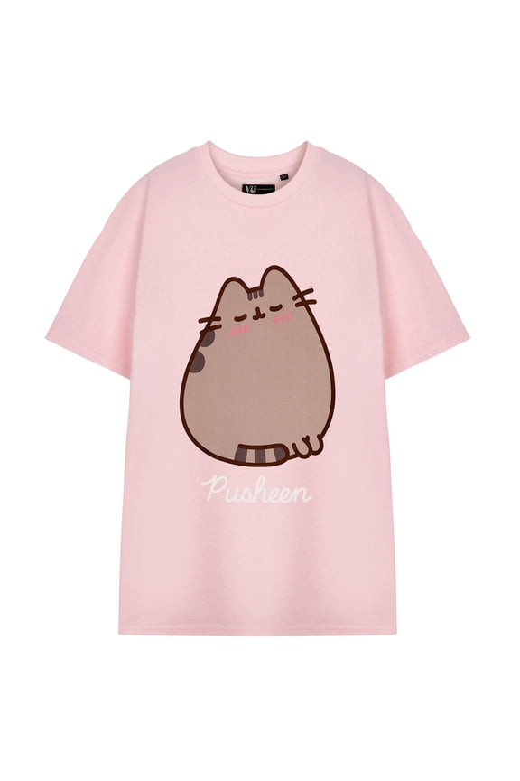 Blush Womens Womens Pink Short Sleeved T-Shirt | L | Made by Vanilla Underground