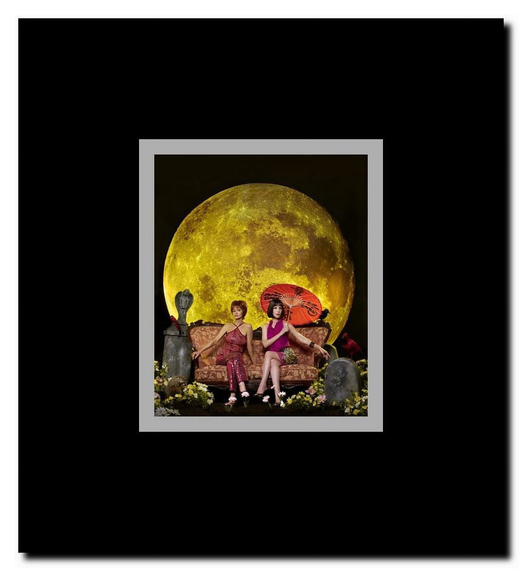 Pushing Daisies Framed Movie Poster