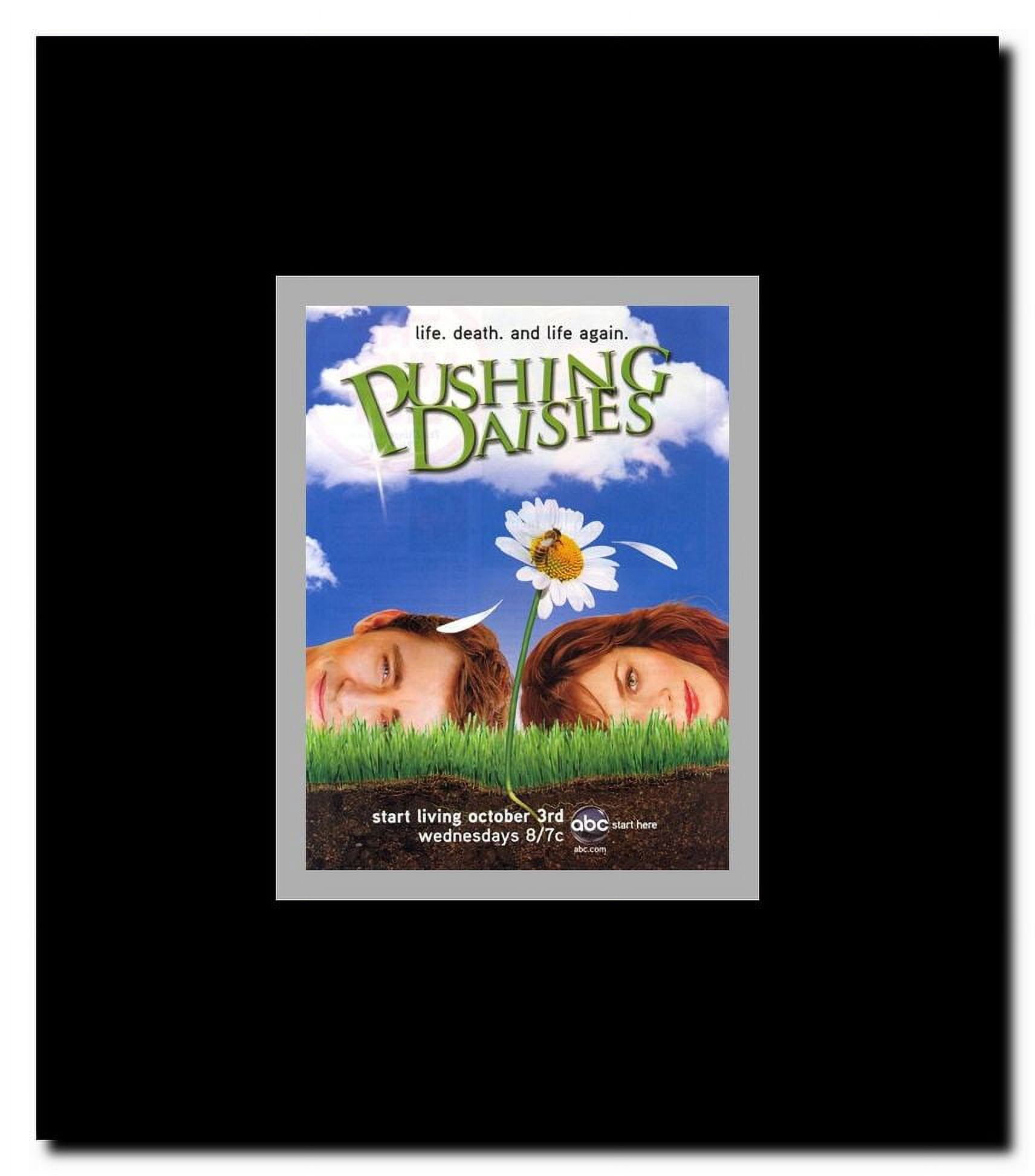 Pushing Daisies Framed Movie Poster