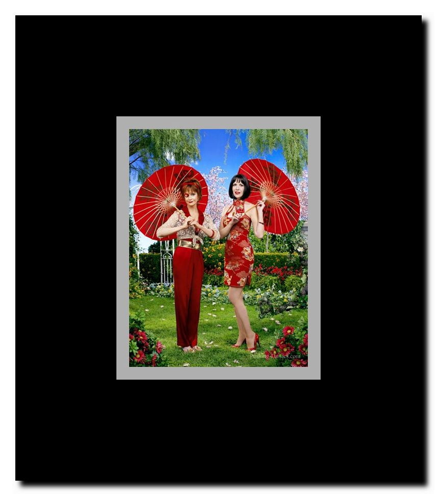 Pushing Daisies Framed Movie Poster