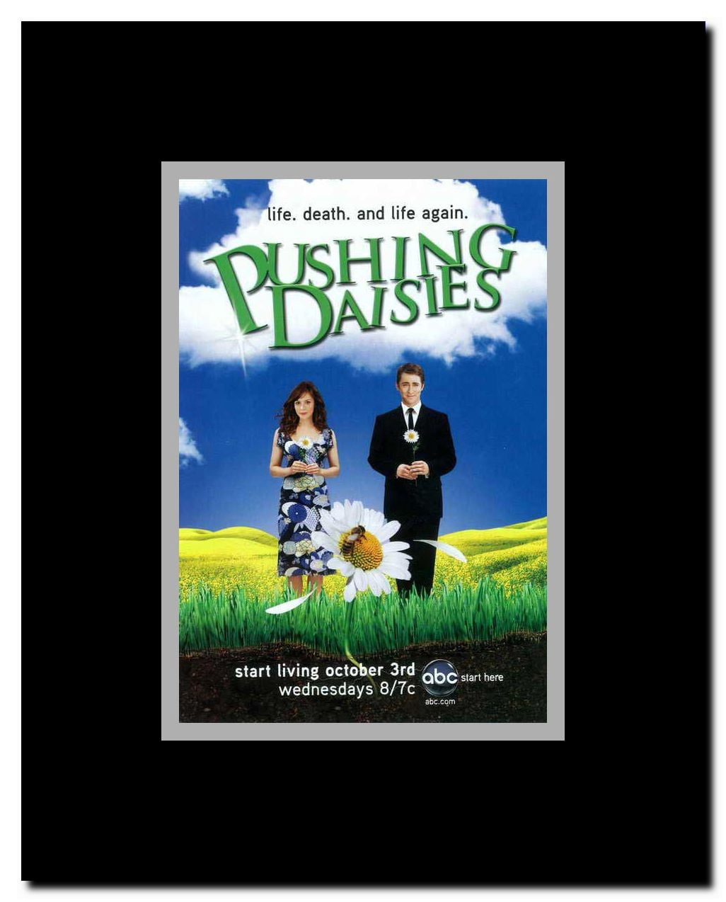 Pushing Daisies (TV) Framed Movie Poster