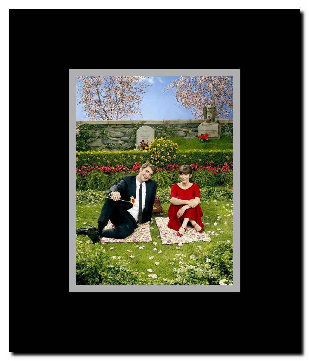 Pushing Daisies (TV) Framed Movie Poster