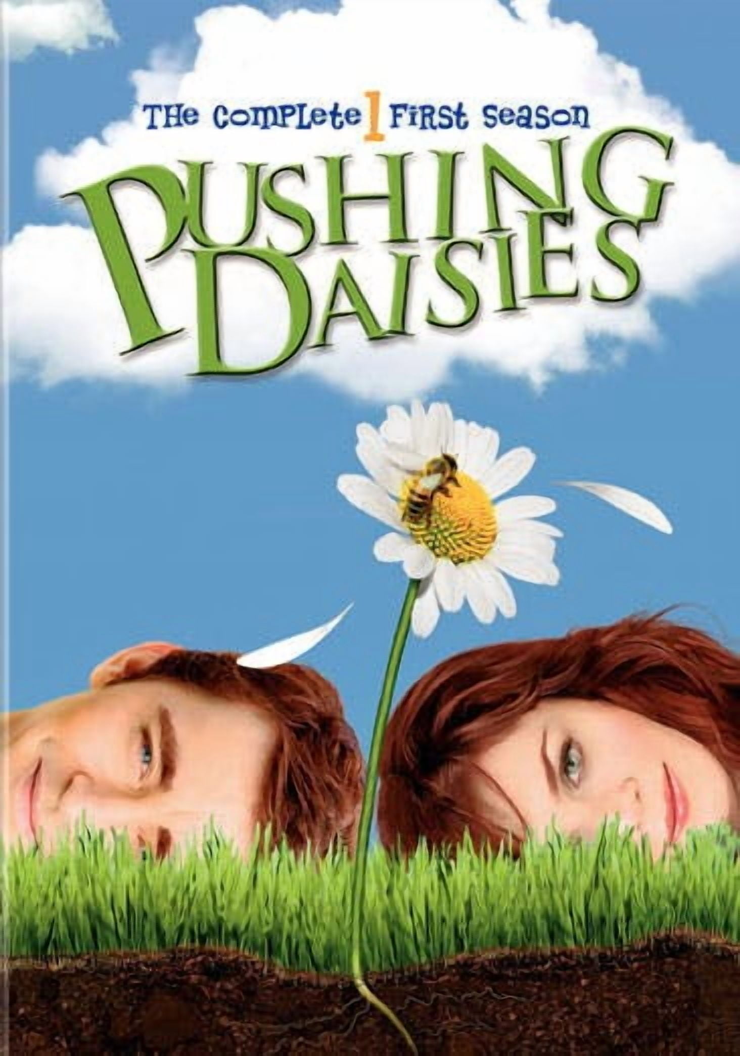 Warner Home Video: Pushing Daisies - Complete First Season DVD