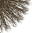 thumbnail image 1 of Pussy Willow - Brown - Farm Direct Fresh Cut Flowers - 150 Stems, 1 of 3