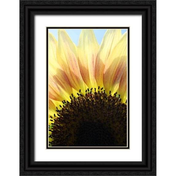 Putman, Tammy 13x18 Black Ornate Wood Framed with Double Matting Museum Art Print Titled - Sunflower V