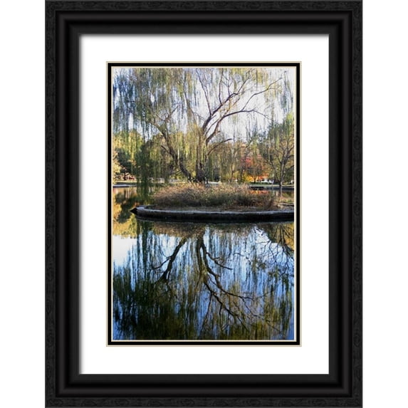 Putman, Tammy 13x18 Black Ornate Wood Framed with Double Matting Museum Art Print Titled - Willow in Fall