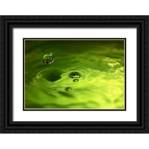 Putman, Tammy 14x11 Black Ornate Wood Framed with Double Matting Museum Art Print Titled - Lemon Lime Drop I