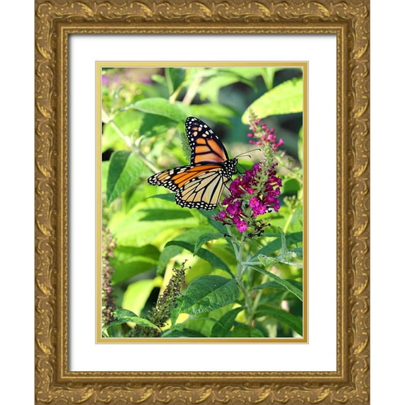 Putman, Tammy 14x18 Gold Ornate Wood Framed with Double Matting Museum Art Print Titled - Monarch Garden I