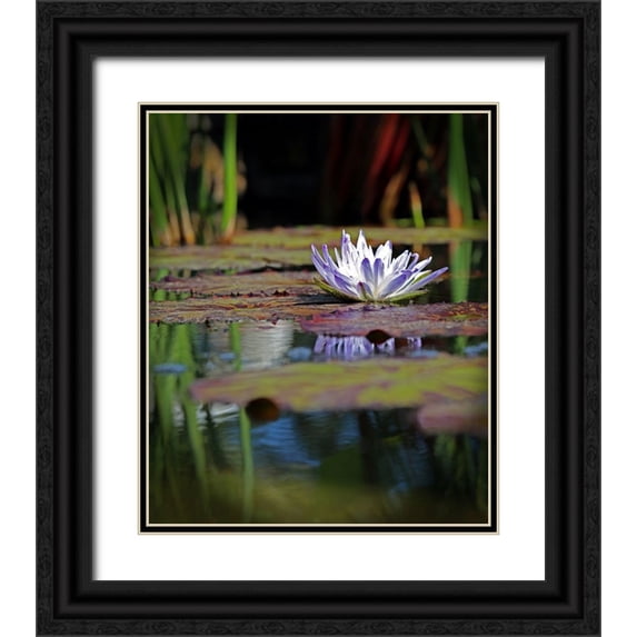 Putman, Tammy 15x17 Black Ornate Wood Framed with Double Matting Museum Art Print Titled - Purple Lily
