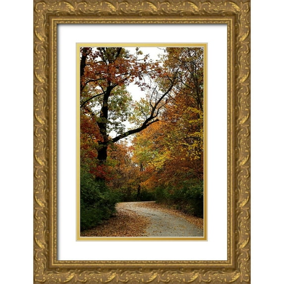 Putman, Tammy 17x24 Gold Ornate Wood Framed with Double Matting Museum Art Print Titled - Autumn Drive