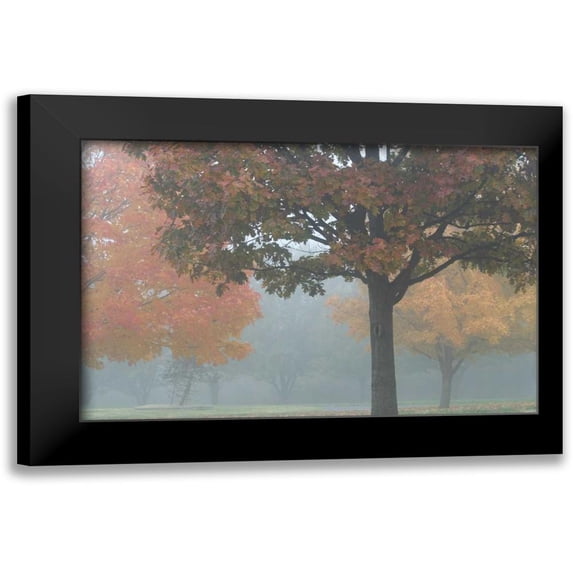 Putman, Tammy 18x13 Black Modern Framed Museum Art Print Titled - Foggy Trees II
