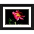 thumbnail image 1 of Putman, Tammy 18x13 Black Ornate Wood Framed with Double Matting Museum Art Print Titled - Pink Peony IV, 1 of 4