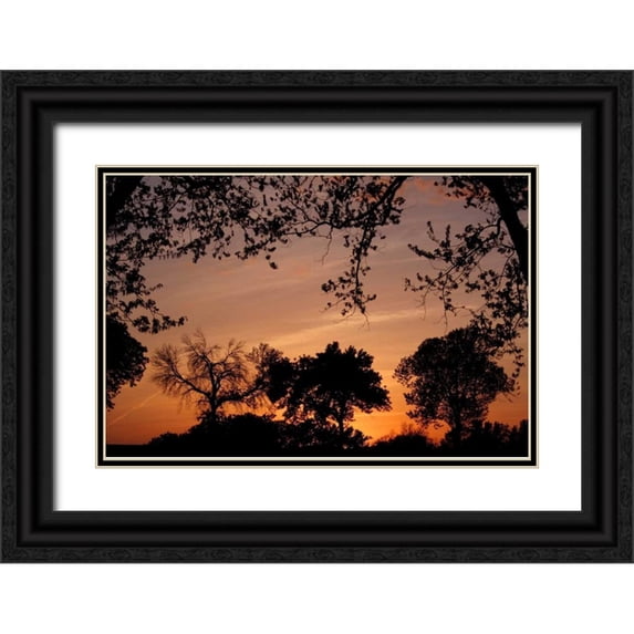 Putman, Tammy 18x13 Black Ornate Wood Framed with Double Matting Museum Art Print Titled - Unity Sunset