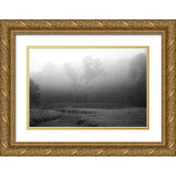 Putman, Tammy 18x13 Gold Ornate Wood Framed with Double Matting Museum Art Print Titled - Creek in Fog II