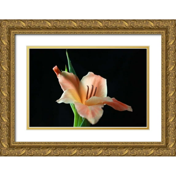 Putman, Tammy 18x13 Gold Ornate Wood Framed with Double Matting Museum Art Print Titled - Peach Lily
