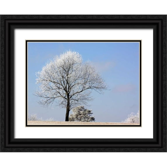 Putman, Tammy 18x14 Black Ornate Wood Framed with Double Matting Museum Art Print Titled - Frozen Fog II