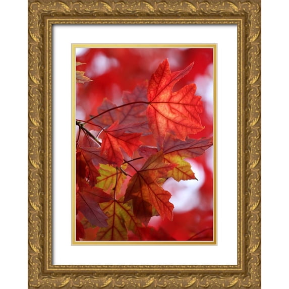 Putman, Tammy 18x24 Gold Ornate Wood Framed with Double Matting Museum Art Print Titled - In the Red