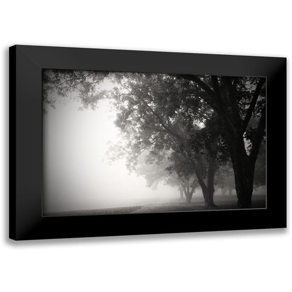 Putman, Tammy 24x17 Black Modern Framed Museum Art Print Titled - Morning Walk