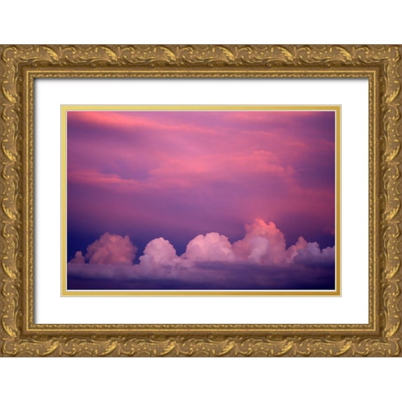 Putman, Tammy 24x17 Gold Ornate Wood Framed with Double Matting Museum Art Print Titled - Majestic Sky