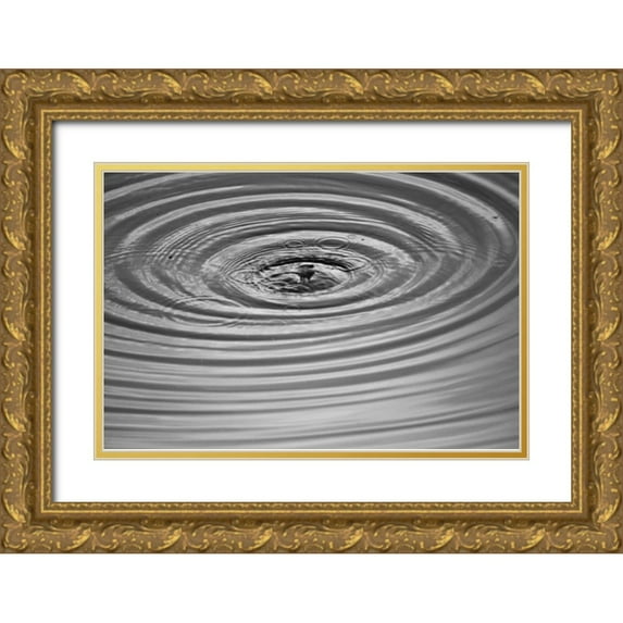 Putman, Tammy 24x17 Gold Ornate Wood Framed with Double Matting Museum Art Print Titled - Ripples II