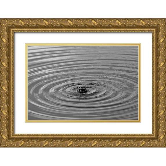Putman, Tammy 24x17 Gold Ornate Wood Framed with Double Matting Museum Art Print Titled - Ripples I